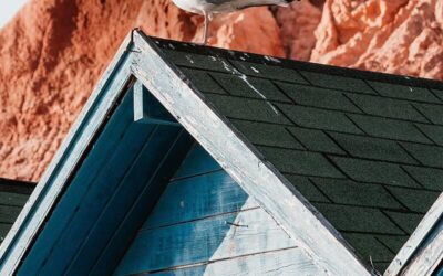 Avoid Roofing Disasters: How To Keep Your Roof Safe